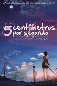 5 centímetros por segundo