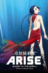 Ghost in the Shell Arise – Border 3: Ghost Tears
