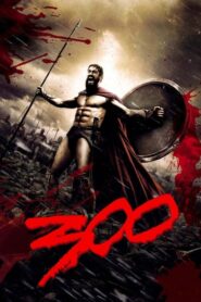 300