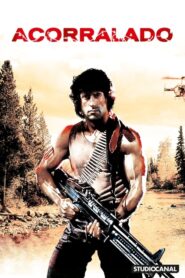 Rambo: primera sangre