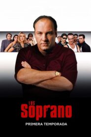 Los Soprano: Temporada 1