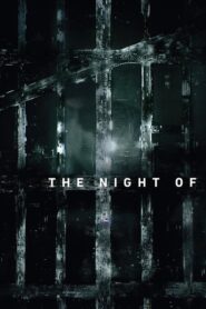 The Night Of: Temporada 1