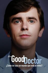 The Good Doctor: Temporada 4