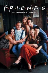 Friends: Temporada 6