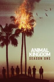 Animal Kingdom: Temporada 1