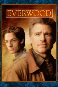 Everwood: Temporada 1