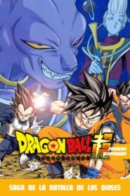 Dragon Ball Super: Temporada 1