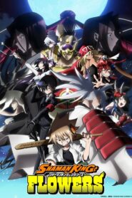 SHAMAN KING FLOWERS: Temporada 1