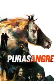 Purasangre