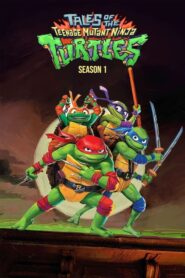 Tales of the Teenage Mutant Ninja Turtles: Temporada 1