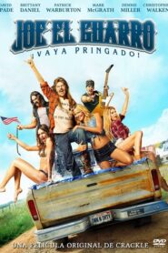 Joe Guarro ¡Vaya pringado! / Joe Dirt 2: Beautiful Loser