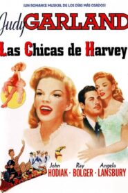 Las chicas de Harvey