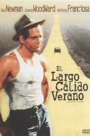 El largo y cálido verano