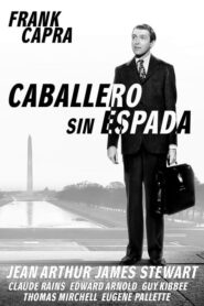 Caballero sin espada