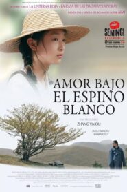 Amor bajo el espino blanco