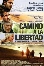 Camino a la libertad / The Way Back